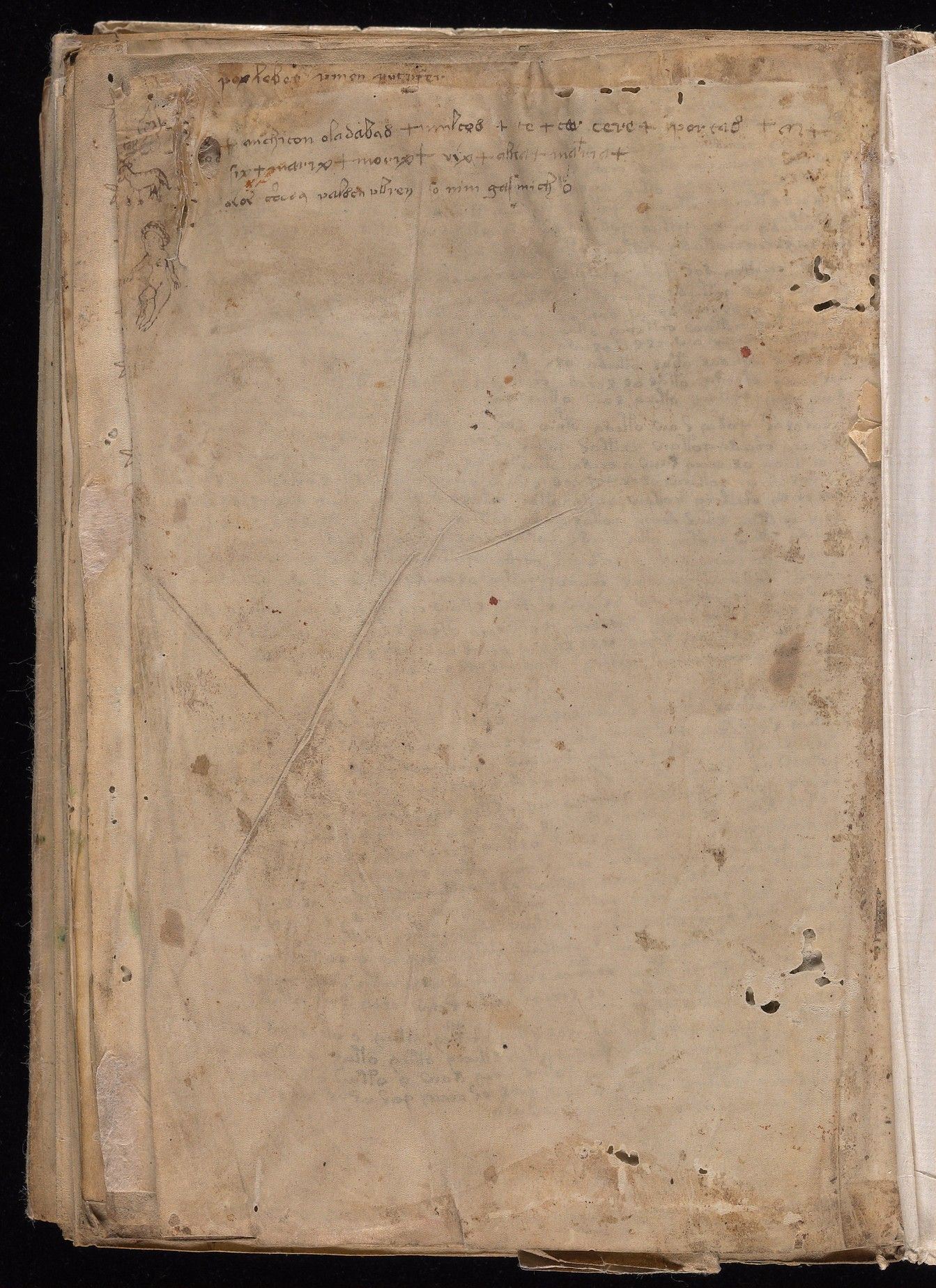 Folio 116v: a mostly blank final page with a few lines of writing in a different script and small marginal drawings